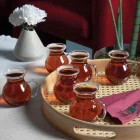 Keyfi Ala Borosilikat Kulplu 6 Lı Çay Bardağı