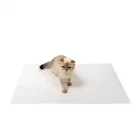 Köpek Tuvalet Çiş Eğitim Pedi 60x90 Cm 30 Adet