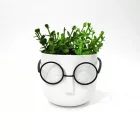 Profesör Masa Üstü Saksı Kalem Kutusu Beyaz