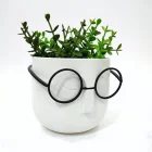 Profesör Masa Üstü Saksı Kalem Kutusu Beyaz