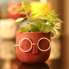 Profesör Masa Üstü Saksı Kalem Kutusu Bordo