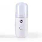 Şarjlı Buharlı Mini Dezenfektan Makinesi Ve Nemlendirici