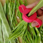 Taze Fasulye Dilimleme Doğrama Aparatı Taze Fasulye Ayıklayıcı