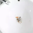 Yapışkan Banyo Gideri Koruyucu 10 Adet