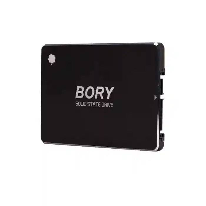 512 GB BORY SATA3 R500-C512G SSD 550/510 MBS (3 YIL GARANTİLİ)