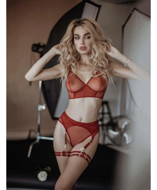 Morliva Kırmızı Transparan Büstiyerli Fantezi Jartiyer Takım