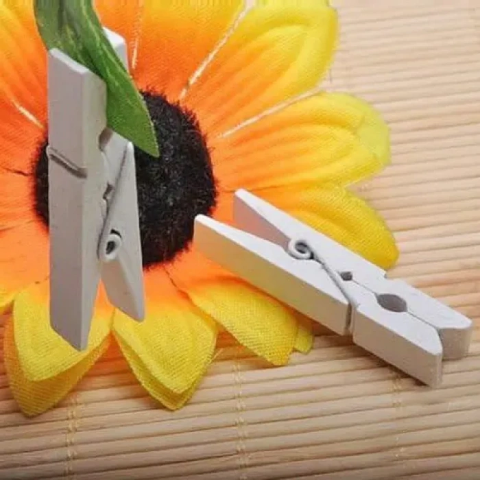 1000 Adet Beyaz Ahşap Mandal Seti (2.5 cm)