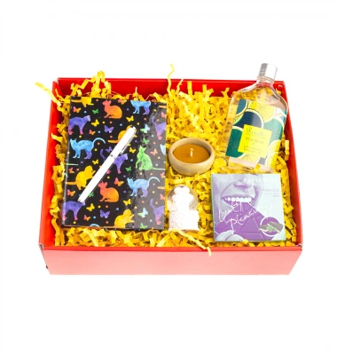 Renkli Kediler Hediye Kutusu