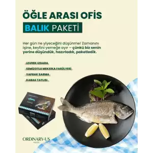 ÖĞLE ARASI OFİS BALIK PAKETİ