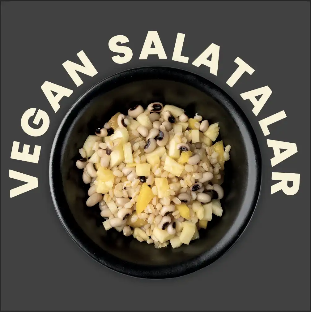 Vegan Salatalar