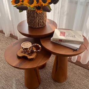 Mantar Zigon Takımı