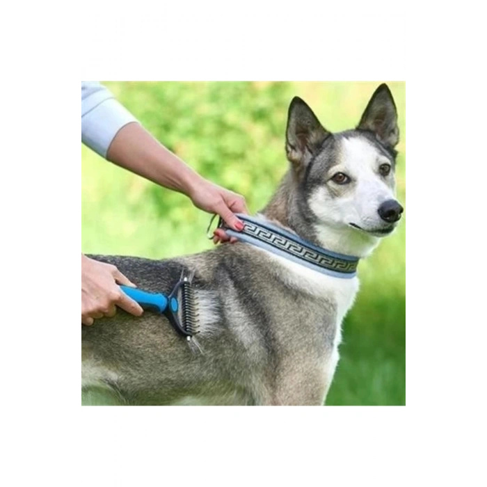 Plastik Saplı Metal Kedi Köpek Bakım Kıtık Tüy Topak Açıcı Tarak