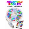 10 Metre Kumandalı Led