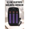 Bluetooth Hoparlör Rgb Işıklı Usb Sd Kart Girişli Taşınabilir
