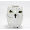 Harry Potter Hedwig Tasarım Porselen Kupa Bardak Alk4494