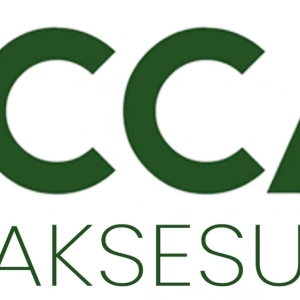 S.T. Dupont Le Grand Çakmak Diamond Head Golden C23009