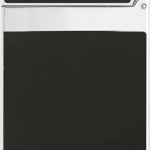 S.T. Dupont Black Chinese Lake ve Paladyum Çakmak 16296