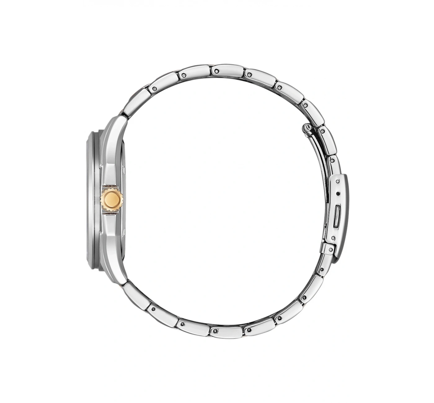 Citizen Eco-Drive AW1756-89A Erkek Kol Saati