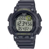 Casio WS-2100H-8AVDF Kol Saati