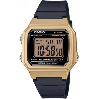 Casio W-217HM-9AVDF Kol Saati