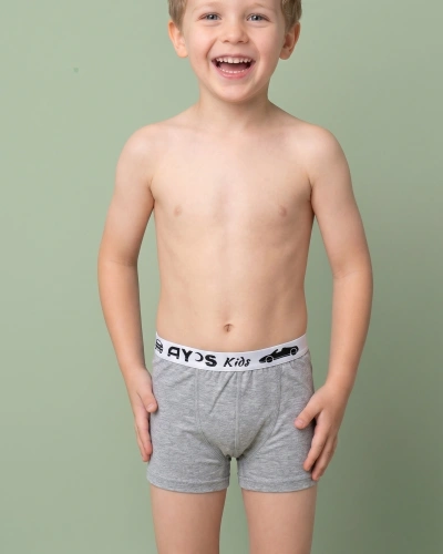AYS Erkek Çocuk Baskılı Likralı Pamuklu Boxer Gri 12li Paket