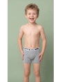 AYS Erkek Çocuk Baskılı Likralı Pamuklu Boxer Gri 12li Paket