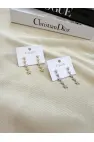 Yıldız Sallantılı Küpe