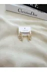 Zirkon Taşlı Yelpaze Model Küpe
