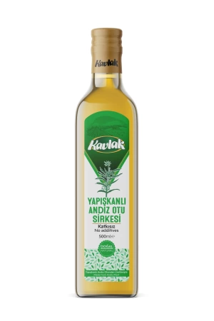 Andız Doğal Fermantasyon Detox Sirke 500ml