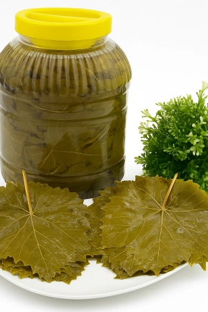 Sarmalık Asma Yaprak