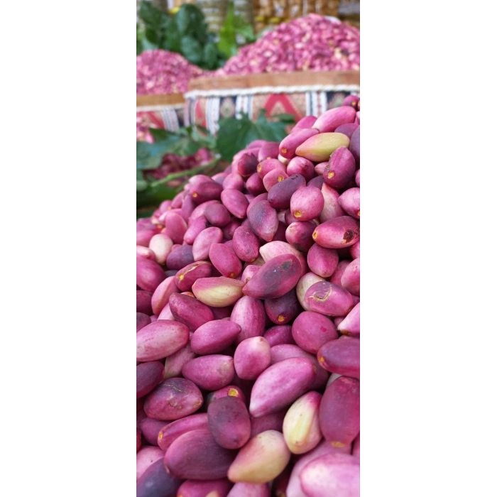 Taze Antep Fıstığı