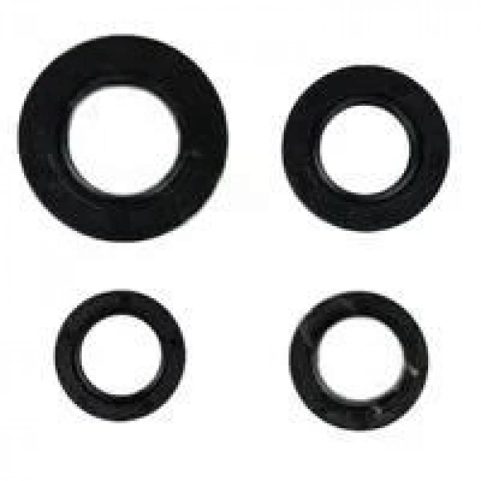 CYGNUS-L KRANK KEÇESİ TK