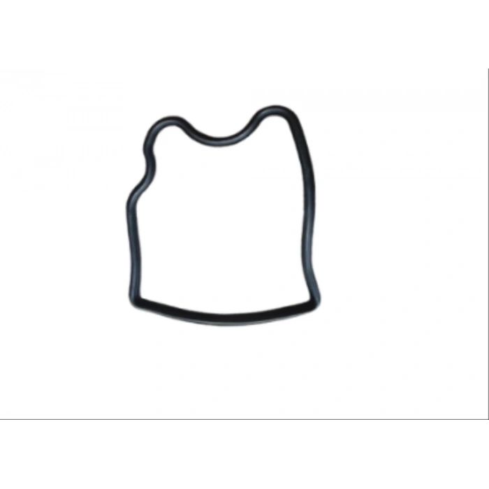 TVS RAİDER 125 ÜST KAPAK ORİNGİ