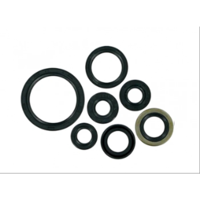 TVS JÜPİTER 125 KEÇE TAKIMI