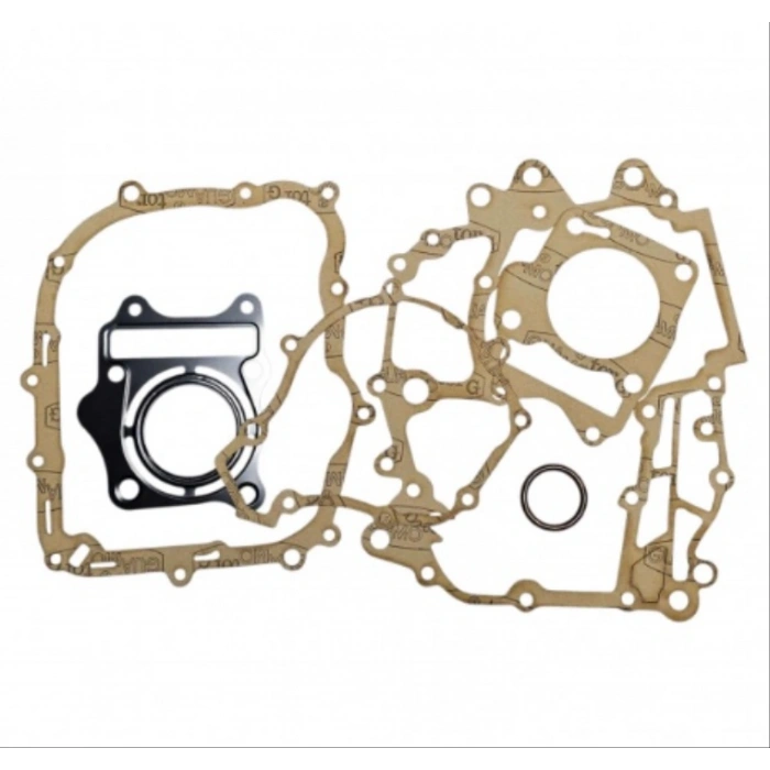 TVS RAİDER 125 CONTA SETİ