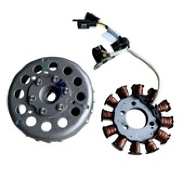 TVS NTORQ 125 MANYETO KOMPLE  (K2060170)