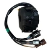 TVS RAİDER 125 KUMANDA SOL (N6161890)