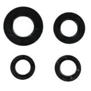 CYGNUS-L KRANK KEÇESİ TK