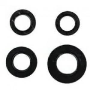 CYGNUS KRANK KEÇESİ TK