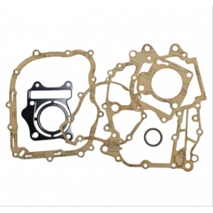 TVS RAİDER 125 CONTA SETİ