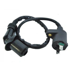 İNDİKSİYON BOBİNİ SK 150cc SCOOTER