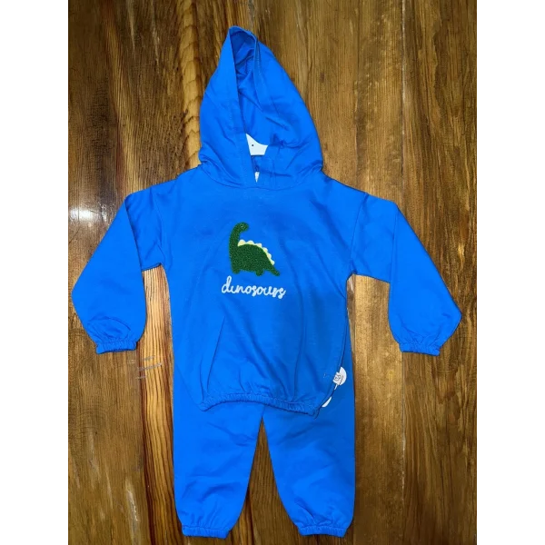 6-24 aylık araba baskılı takım gri