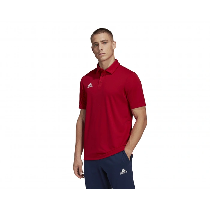 Adidas Entrada 22 Polo Erkek Polo Yaka Tişört