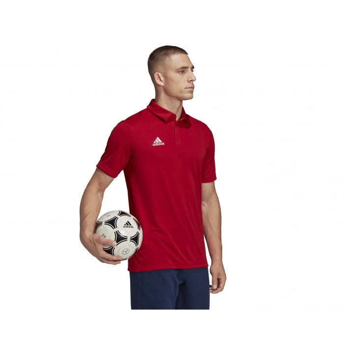 Adidas Entrada 22 Polo Erkek Polo Yaka Tişört