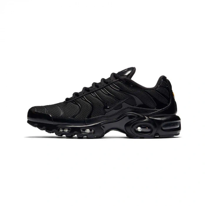 NIKE Air Max Plus Erkek Sneaker Ayakkabı 604133-050