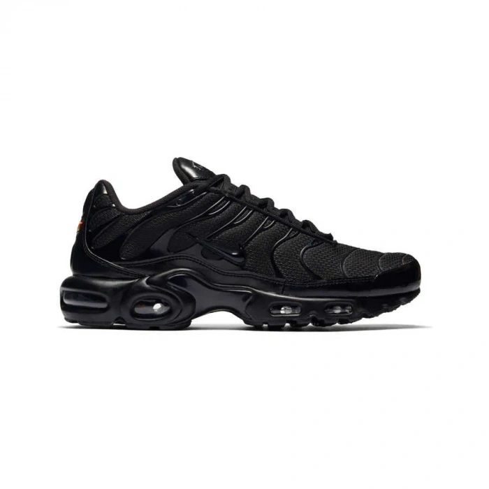 NIKE Air Max Plus Erkek Sneaker Ayakkabı 604133-050