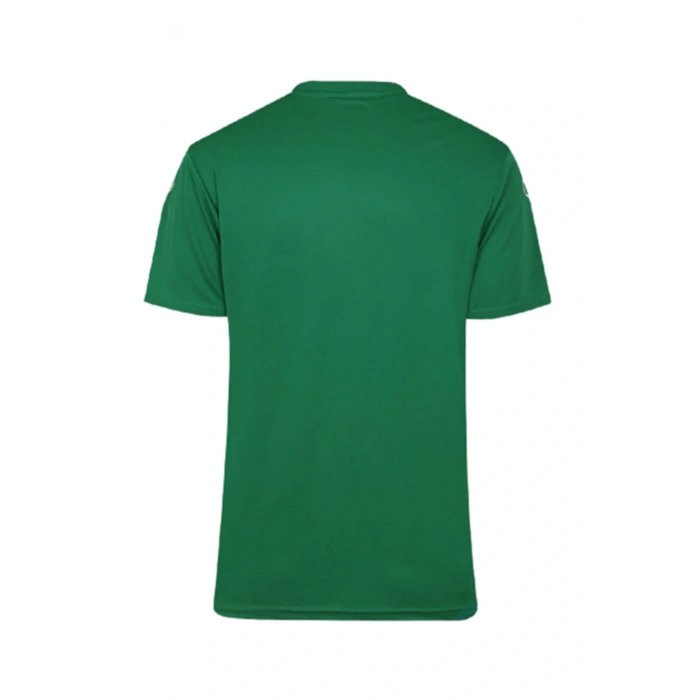 UHLSPORT  Antrenman T-shirt Rıgel yeşil