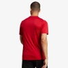 Adidas Team Icon 23 Jersey Tişört Erkek Kırmızı HT6551