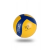 Asm Spor Voleybol maç topu Sarı-Mavi VL2000