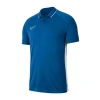 Nike Academy 19 Erkek T-shirt BQ1496-404